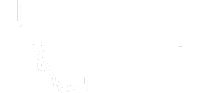 Montana Berners – Breeders of Exceptional Bernese Mountain Dogs and Bernedoodles