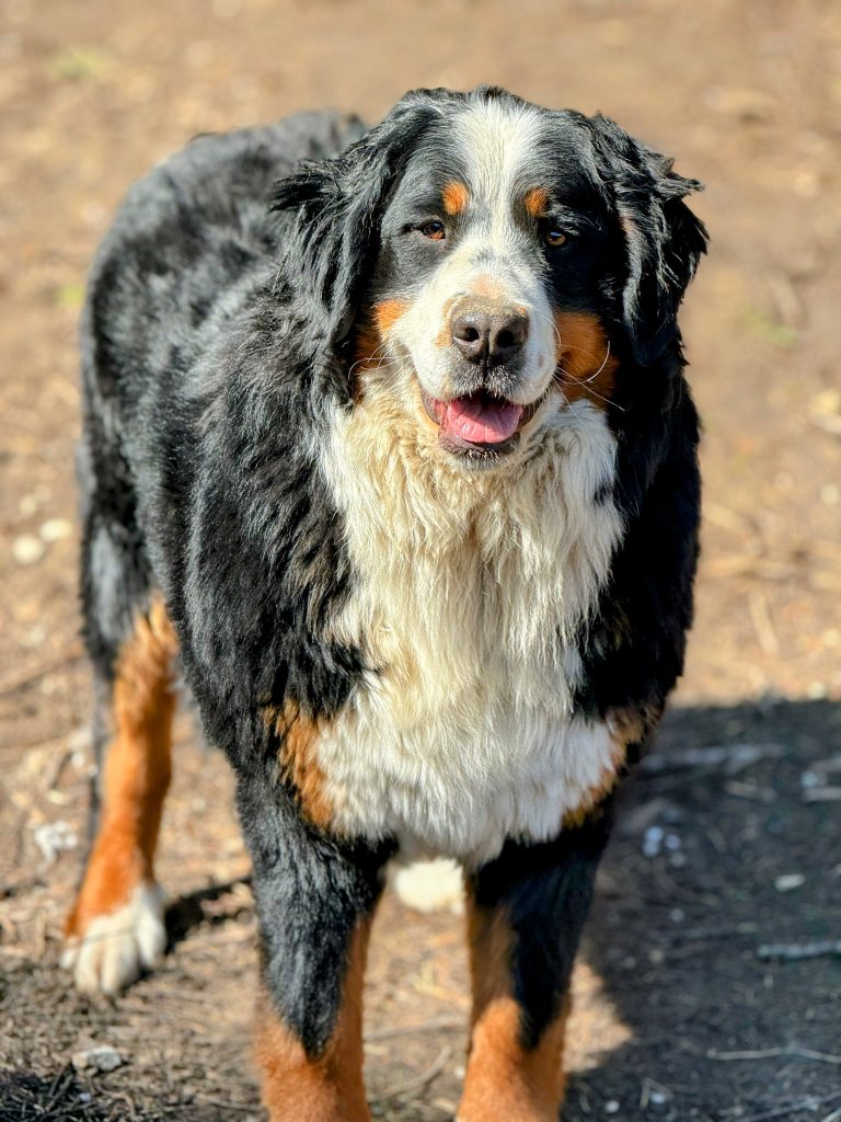 Fiona